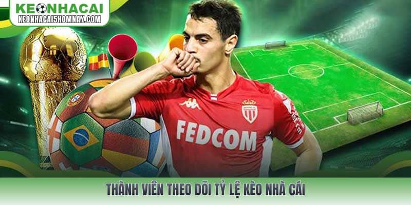 Thành viên theo dõi tỷ lệ kèo nhà cái